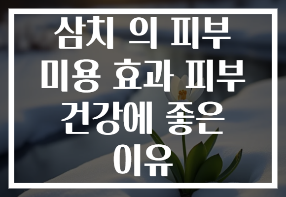 삼치 의 피부 미용 효과 피부 건강에 좋은 이유
