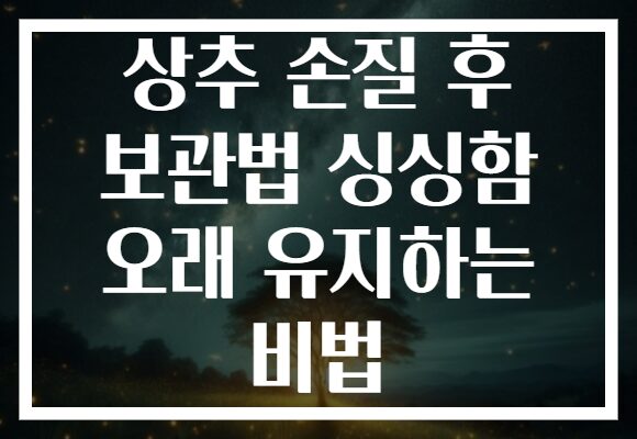 상추 손질 후 보관법 싱싱함 오래 유지하는 비법
