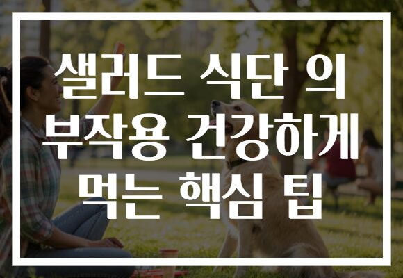 샐러드 식단 의 부작용 건강하게 먹는 핵심 팁