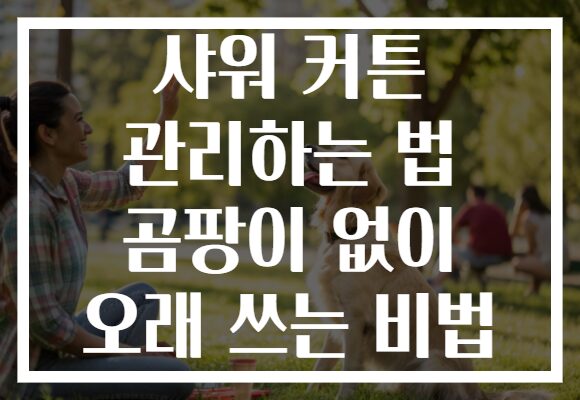 샤워 커튼 관리하는 법 곰팡이 없이 오래 쓰는 비법