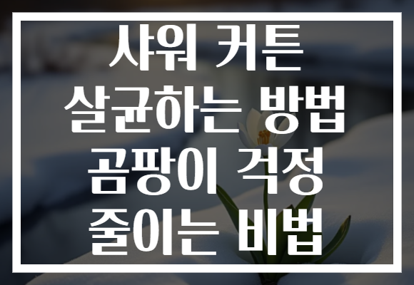 샤워 커튼 살균하는 방법 곰팡이 걱정 줄이는 비법