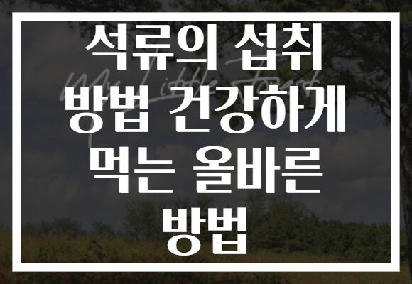 석류의 섭취 방법 건강하게 먹는 올바른 방법