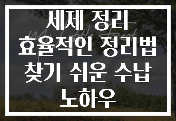 세제 정리 효율적인 정리법 찾기 쉬운 수납 노하우