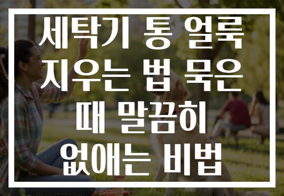 세탁기 통 얼룩 지우는 법 묵은 때 말끔히 없애는 비법