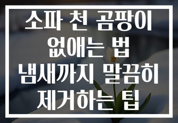 소파 천 곰팡이 없애는 법 냄새까지 말끔히 제거하는 팁