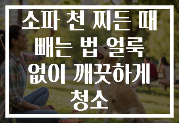 소파 천 찌든 때 빼는 법 얼룩 없이 깨끗하게 청소