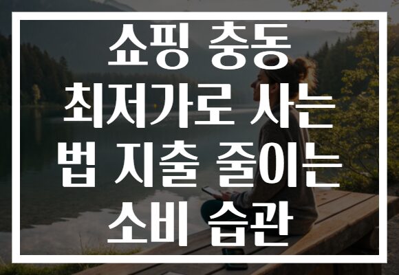 쇼핑 충동 최저가로 사는 법 지출 줄이는 소비 습관