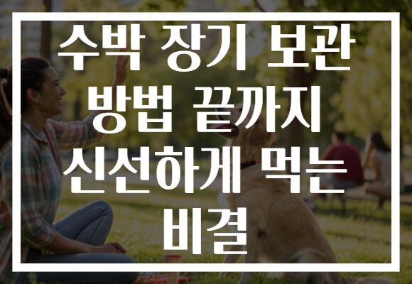 수박 장기 보관 방법 끝까지 신선하게 먹는 비결