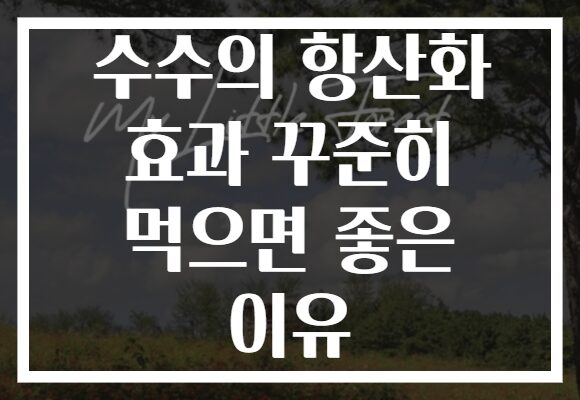 수수의 항산화 효과 꾸준히 먹으면 좋은 이유