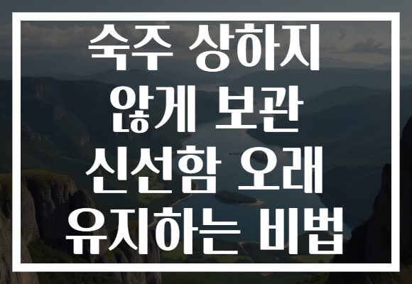 숙주 상하지 않게 보관 신선함 오래 유지하는 비법