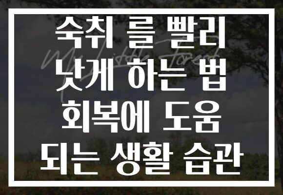 숙취 를 빨리 낫게 하는 법 회복에 도움 되는 생활 습관
