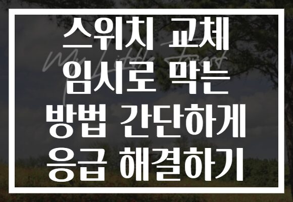 스위치 교체 임시로 막는 방법 간단하게 응급 해결하기