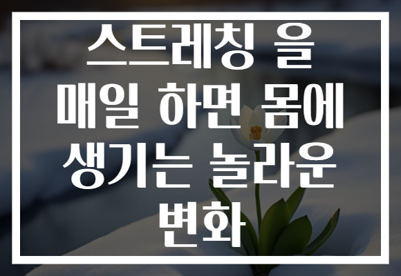 스트레칭 을 매일 하면 몸에 생기는 놀라운 변화