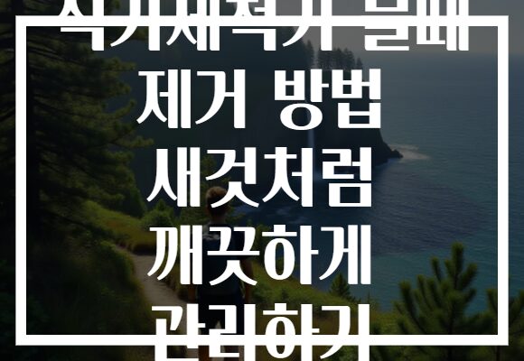 식기세척기 물때 제거 방법 새것처럼 깨끗하게 관리하기