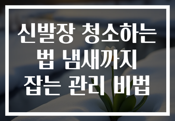 신발장 청소하는 법 냄새까지 잡는 관리 비법