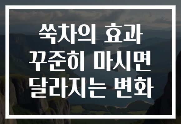 쑥차의 효과 꾸준히 마시면 달라지는 변화