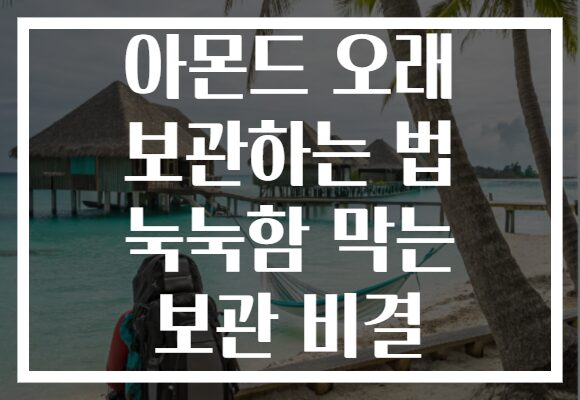 아몬드 오래 보관하는 법 눅눅함 막는 보관 비결