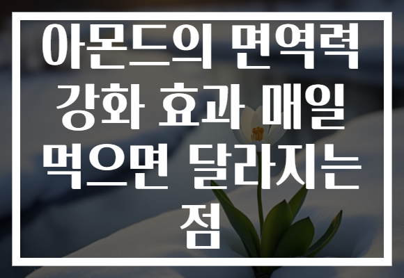 아몬드의 면역력 강화 효과 매일 먹으면 달라지는 점