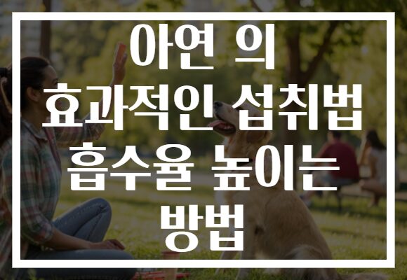 아연 의 효과적인 섭취법 흡수율 높이는 방법