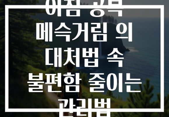 아침 공복 메슥거림 의 대처법 속 불편함 줄이는 관리법