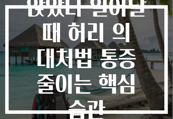 앉았다 일어날 때 허리 의 대처법 통증 줄이는 핵심 습관