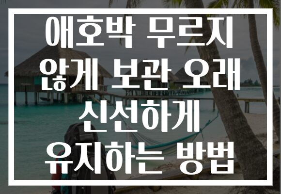 애호박 무르지 않게 보관 오래 신선하게 유지하는 방법