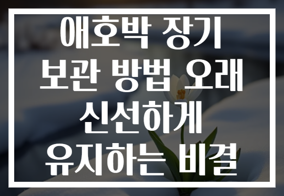 애호박 장기 보관 방법 오래 신선하게 유지하는 비결