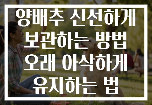 양배추 신선하게 보관하는 방법 오래 아삭하게 유지하는 법