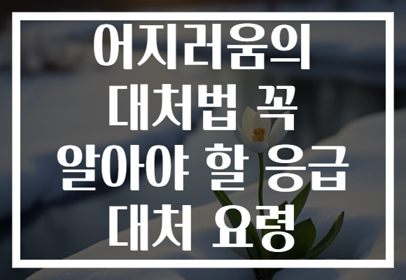 어지러움의 대처법 꼭 알아야 할 응급 대처 요령