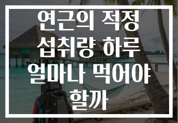 연근의 적정 섭취량 하루 얼마나 먹어야 할까
