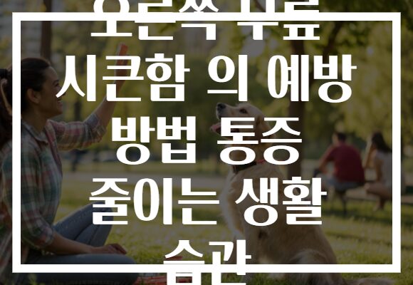 오른쪽 무릎 시큰함 의 예방 방법 통증 줄이는 생활 습관