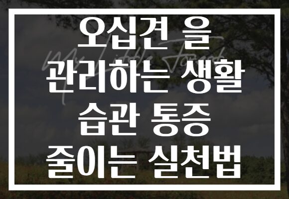 오십견 을 관리하는 생활 습관 통증 줄이는 실천법