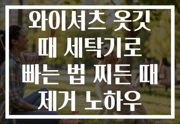 와이셔츠 옷깃 때 세탁기로 빠는 법 찌든 때 제거 노하우