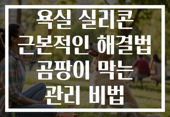욕실 실리콘 근본적인 해결법 곰팡이 막는 관리 비법