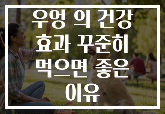 우엉 의 건강 효과 꾸준히 먹으면 좋은 이유