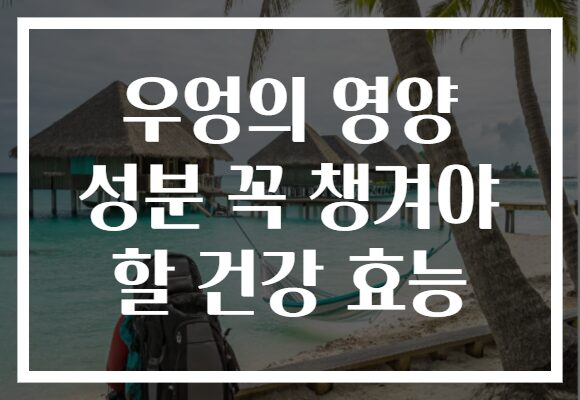 우엉의 영양 성분 꼭 챙겨야 할 건강 효능