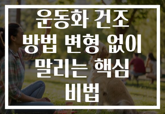 운동화 건조 방법 변형 없이 말리는 핵심 비법
