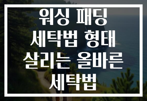 워싱 패딩 세탁법 형태 살리는 올바른 세탁법