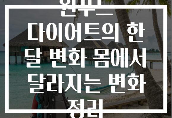 원푸드 다이어트의 한 달 변화 몸에서 달라지는 변화 정리
