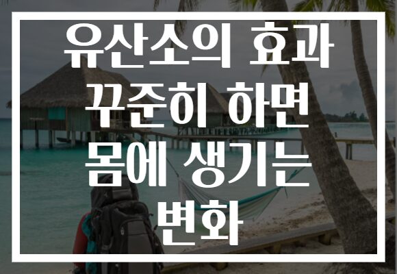 유산소의 효과 꾸준히 하면 몸에 생기는 변화