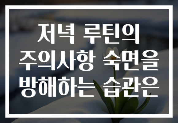 저녁 루틴의 주의사항 숙면을 방해하는 습관은