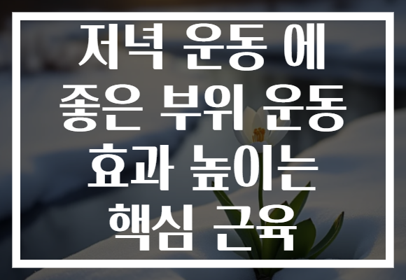 저녁 운동 에 좋은 부위 운동 효과 높이는 핵심 근육
