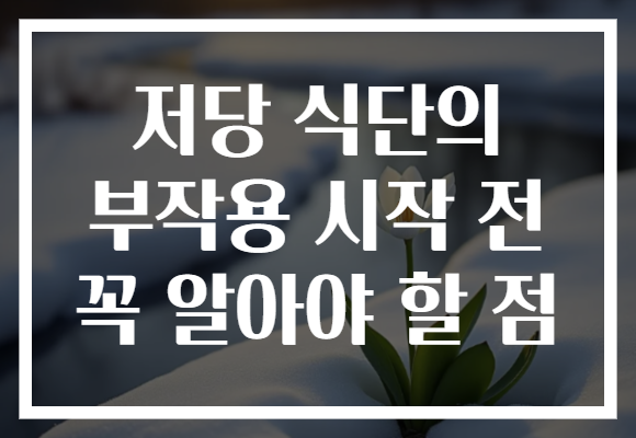 저당 식단의 부작용 시작 전 꼭 알아야 할 점