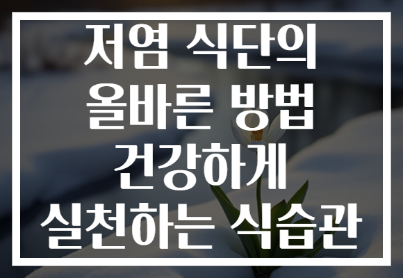 저염 식단의 올바른 방법 건강하게 실천하는 식습관
