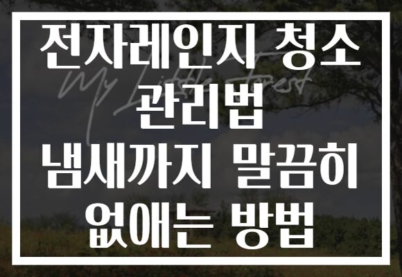 전자레인지 청소 관리법 냄새까지 말끔히 없애는 방법