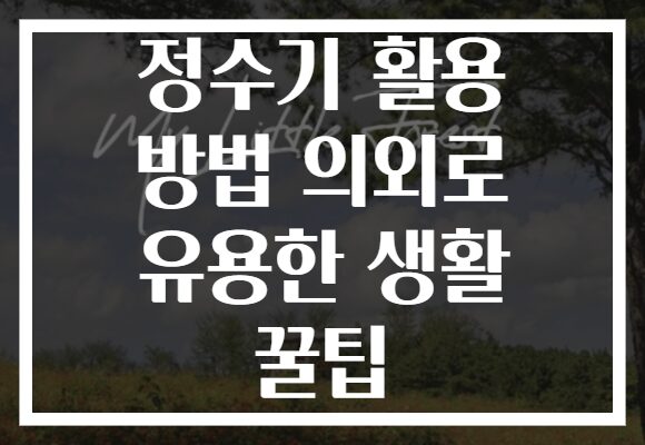 정수기 활용 방법 의외로 유용한 생활 꿀팁
