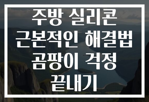 주방 실리콘 근본적인 해결법 곰팡이 걱정 끝내기