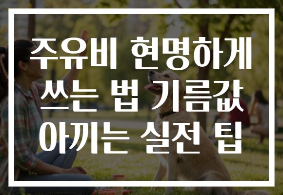 주유비 현명하게 쓰는 법 기름값 아끼는 실전 팁