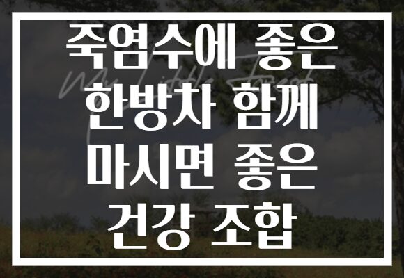 죽염수에 좋은 한방차 함께 마시면 좋은 건강 조합