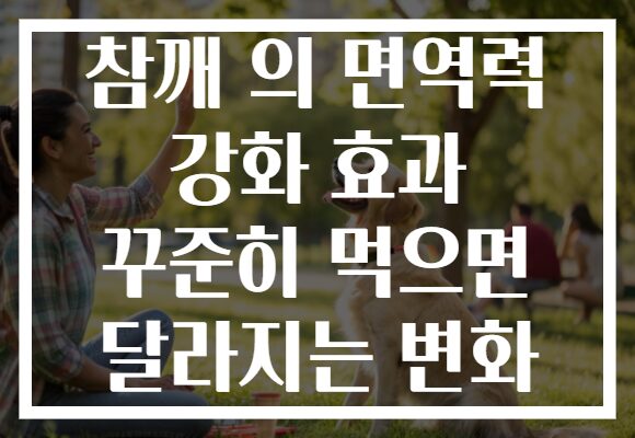 참깨 의 면역력 강화 효과 꾸준히 먹으면 달라지는 변화